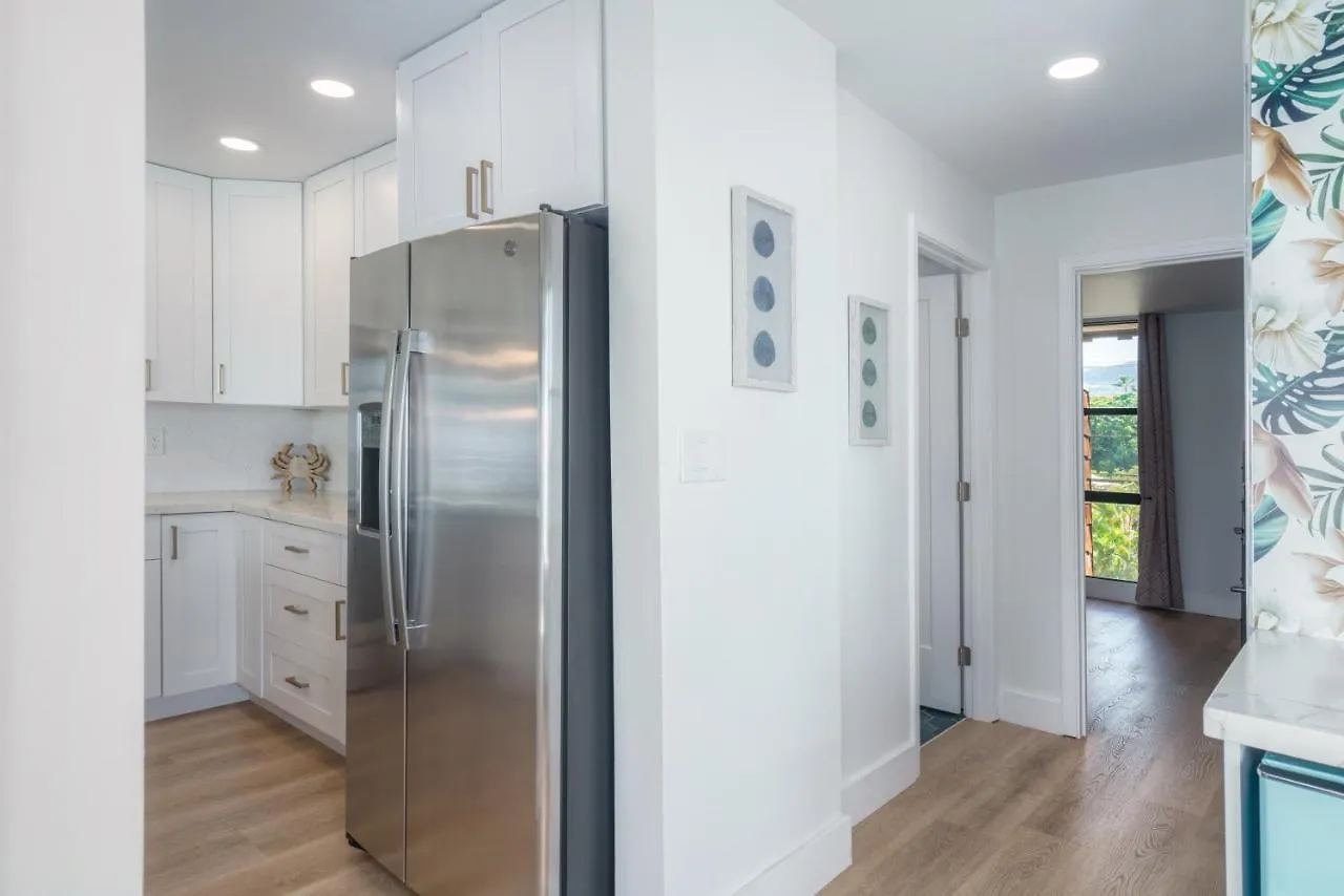 Direct Oceanfront Penthouse Villa Kahana 0*,