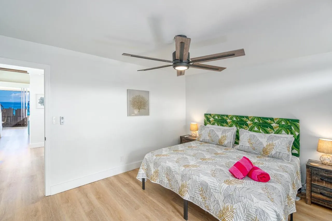 펜션 Kahana Direct Oceanfront Penthouse 빌라